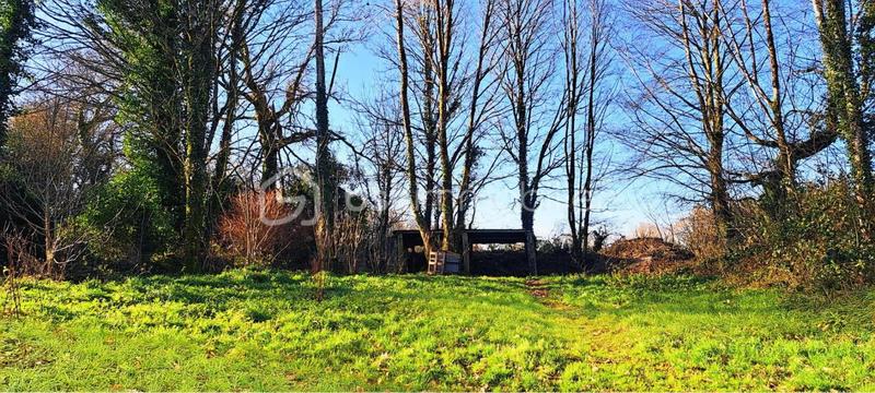 Maison en pierre - 118 m² - 5 pièces