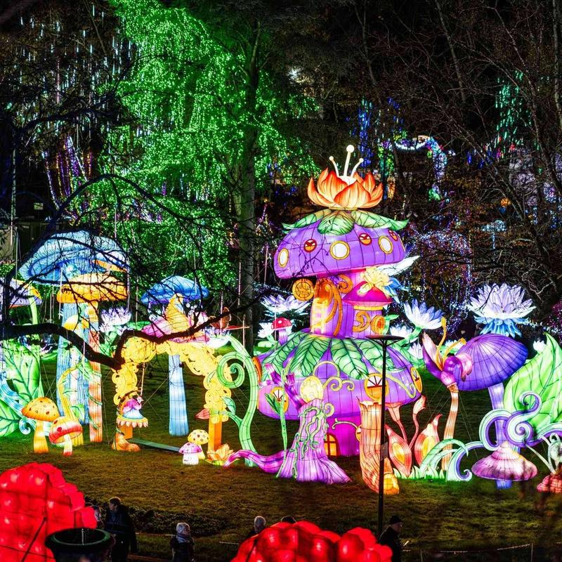 Illuminations « Voyage au pays des lanternes »