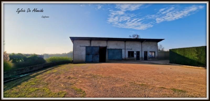 Local d'activité / Entrepôt - 300 m² - 2 pièces