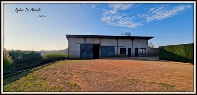 Local d'activité / Entrepôt - 300 m² - 2 pièces