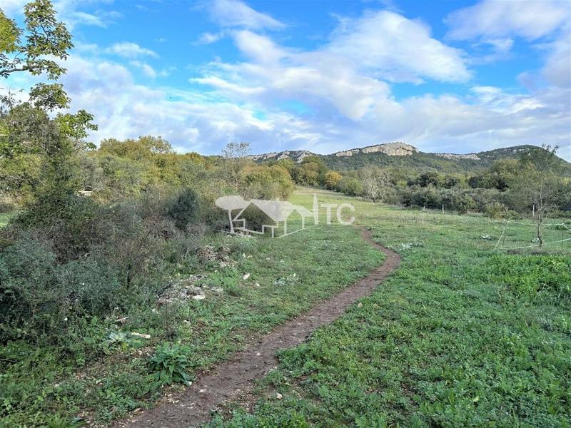 Terrain - 8 617 m²