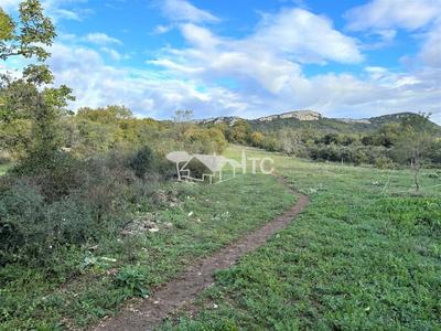 Terrain - 8 617 m²