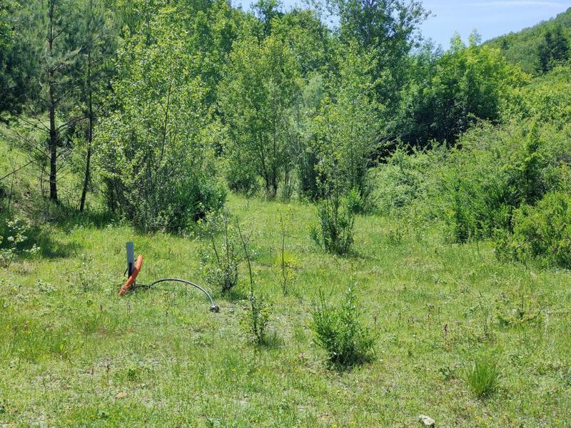 Propriété - 360 m² - 13 pièces