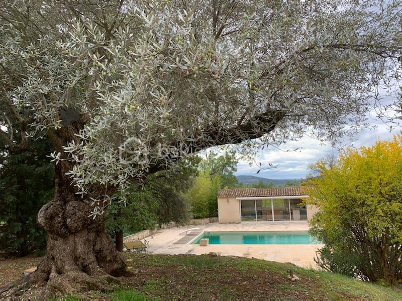 Propriété - 490 m² - 10 pièces