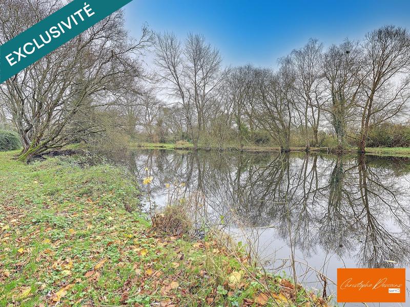 Terrain - 13 000 m²