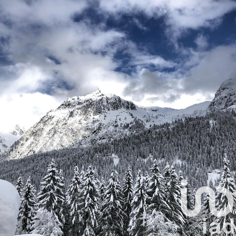 Appartement - 17 m² - 1 pièce