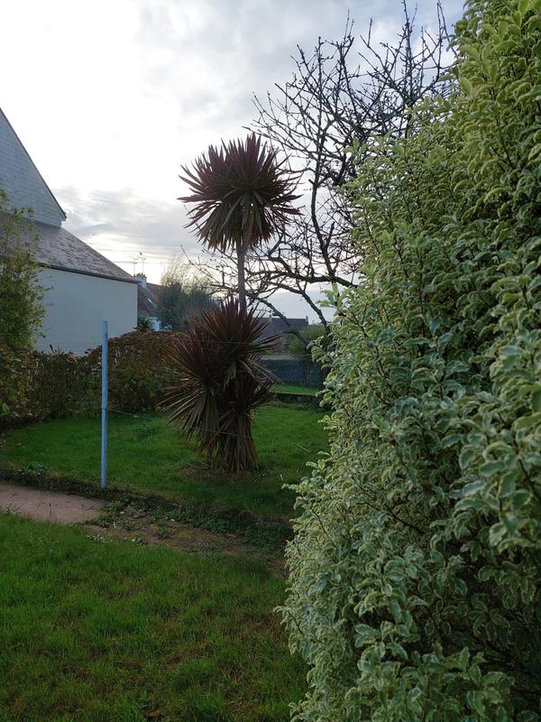 Maison - 103 m² - 6 pièces