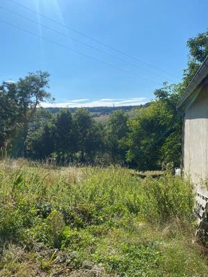 Terrain constructible - 1 294 m²