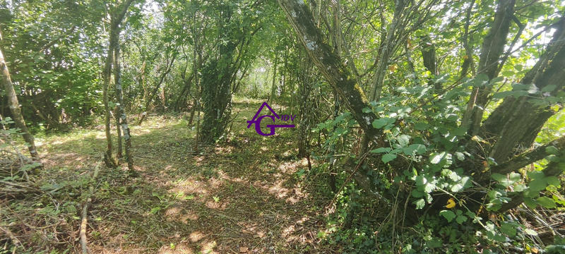 Maison traditionnelle - 80 m² - 2 pièces