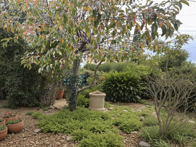 Maison - 216 m² - 9 pièces