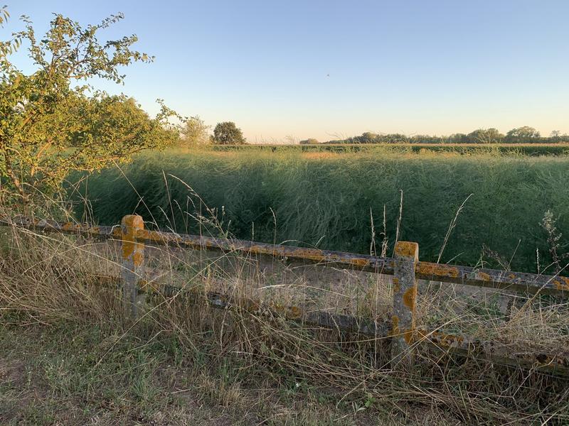 Maison ancienne - 287 m² - 10 pièces