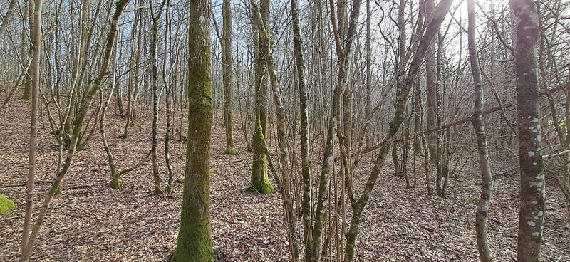 Terrain de loisirs - 1 477 m²