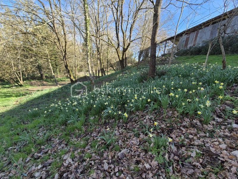 Propriété - 210 m² - 7 pièces