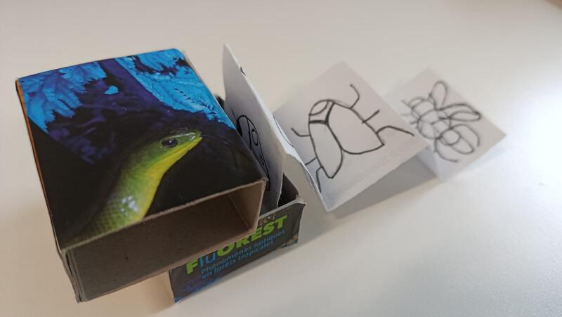 Atelier Mini Cabinet de Curiosit