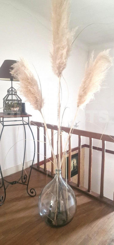 Maison - 220 m² - 7 pièces