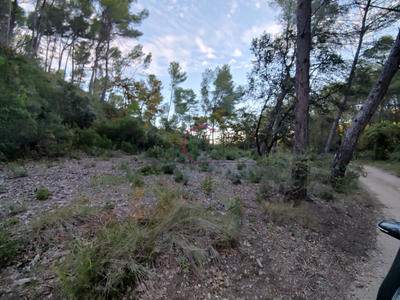 Terrain de loisirs - 4 400 m²