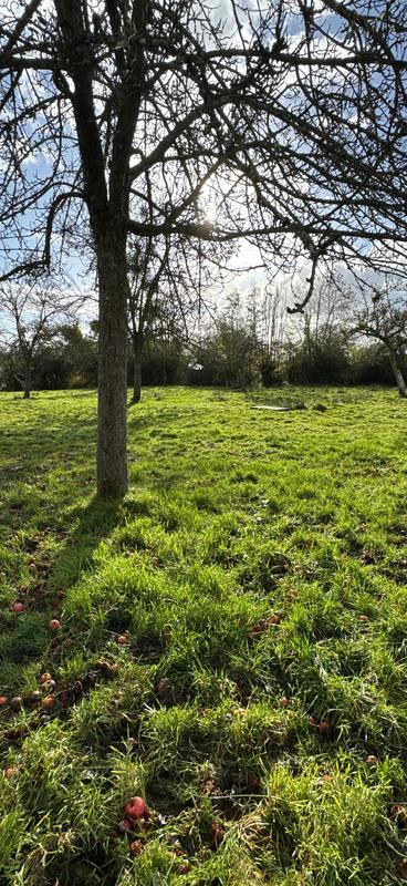 Maison - 156 m² - 7 pièces