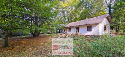 Maison - 231 m² - 7 pièces