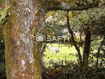 Maison - 162 m² - 8 pièces