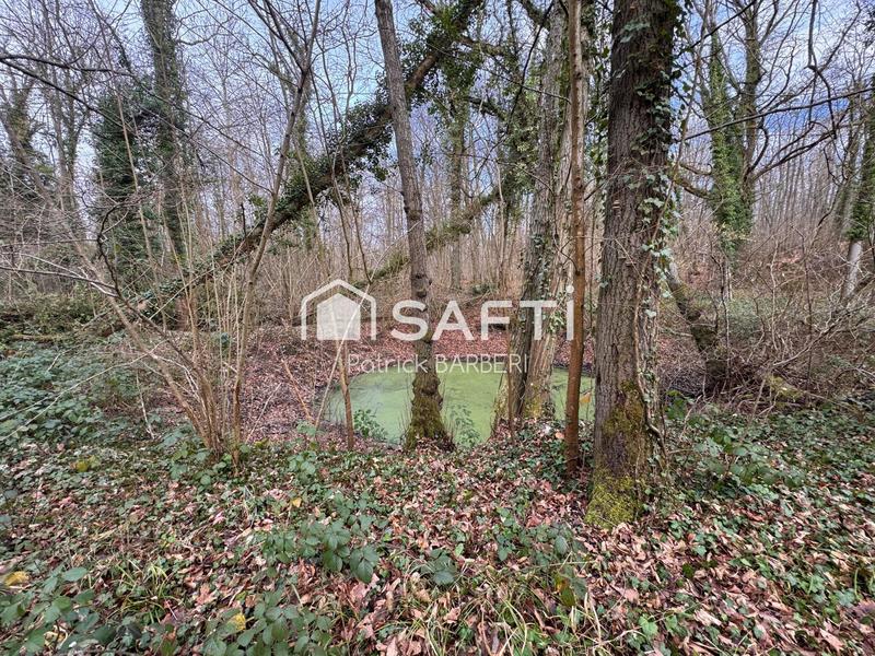 Terrain - 58 000 m²