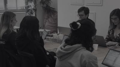 Digiberries Paris - Agence Google Ads - Agence Seo / Sea