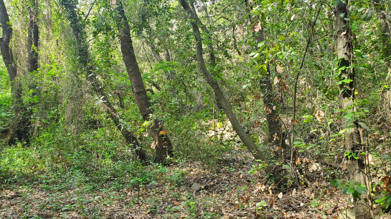 Terrain agricole - 4 390 m²