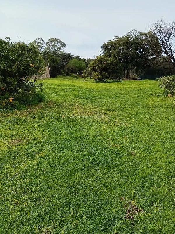 Maison - 318 m² - 9 pièces