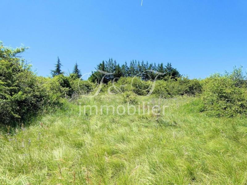 Terrain - 460 m²