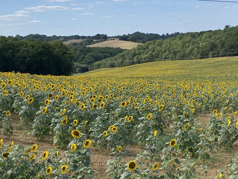 Maison - 191 m² - 16 pièces