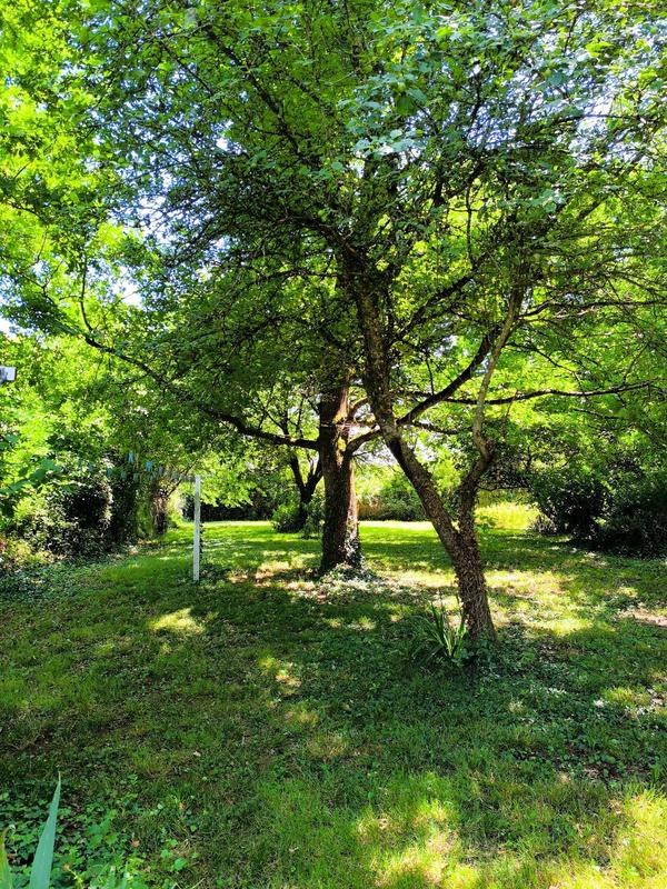 Maison - 146 m² - 5 pièces