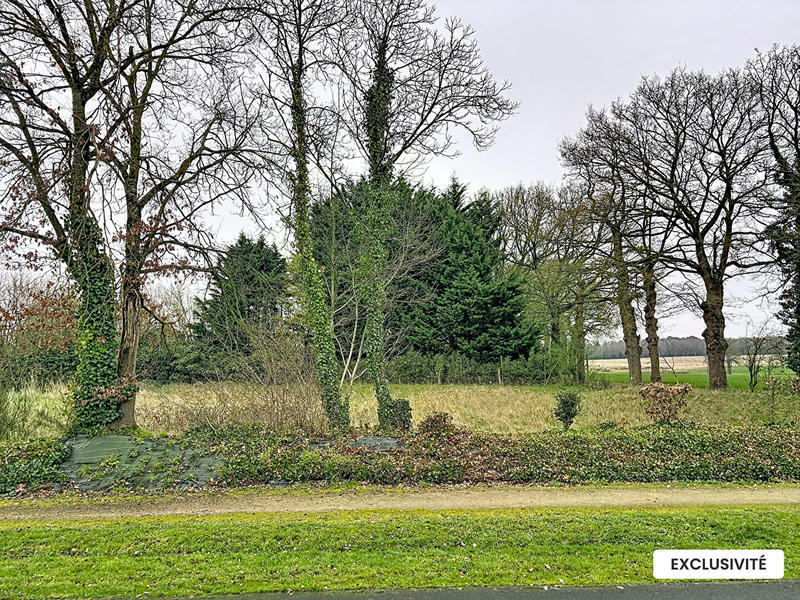 Maison - 82 m² - 5 pièces