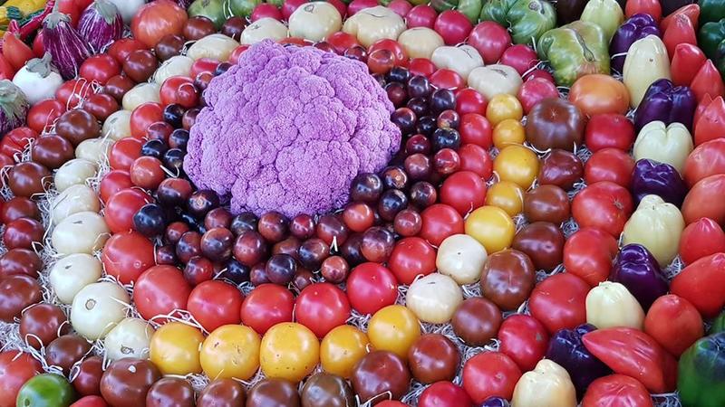 Marché traditionnel d'Aiguillon