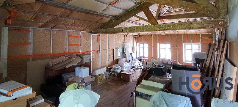 Viager - Maison - 395 m² - 8 pièces