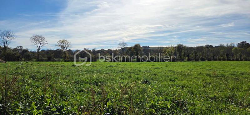 Terrain - 1 034 m²