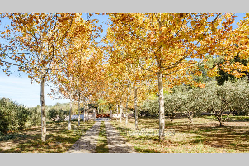 Villa - 250 m² - 8 pièces