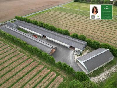 Bureau - 2 282 m² - 6 pièces