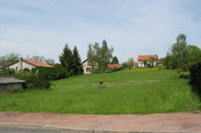 Terrain constructible - 2 704 m²