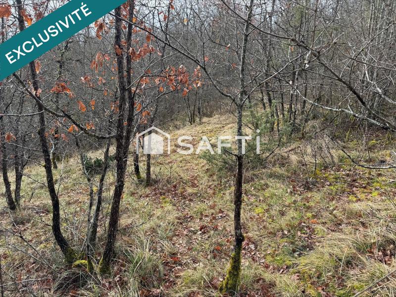 Terrain agricole - 4 860 m²