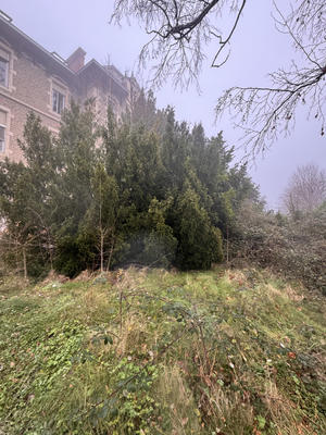 Immeuble - 1 080 m²