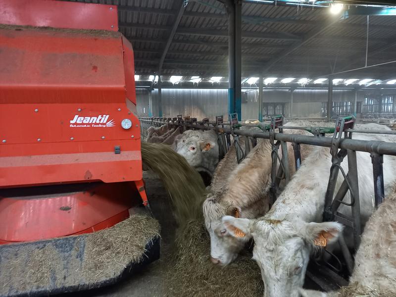 Secrets d’élevage : une immersion grandeur nature à la ferme