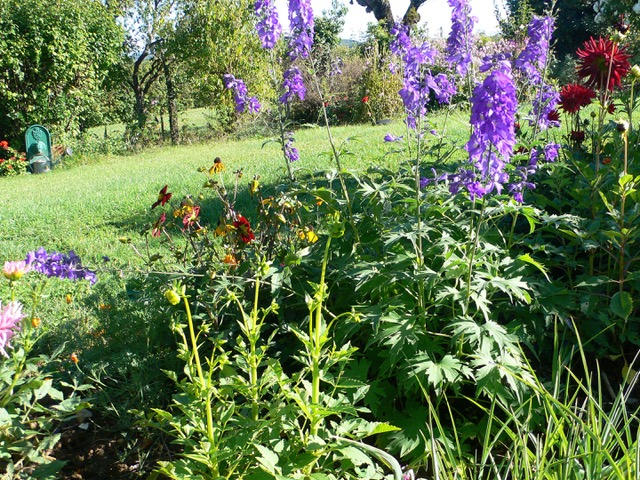 Maison en pierre - 78 m² - 4 pièces