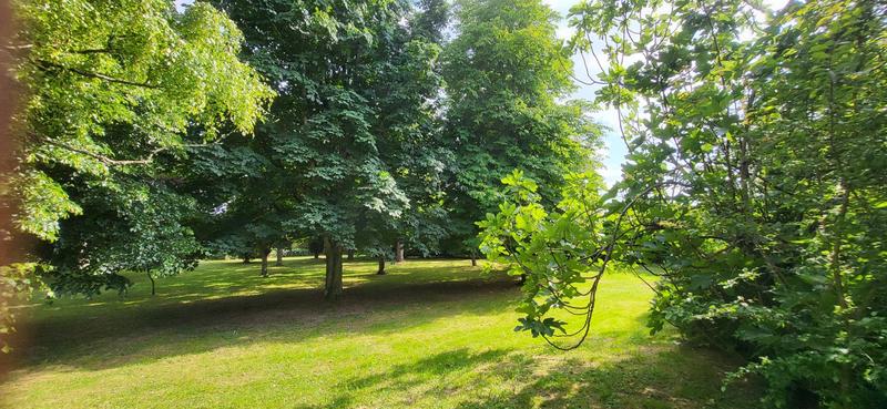 Maison - 260 m² - 10 pièces