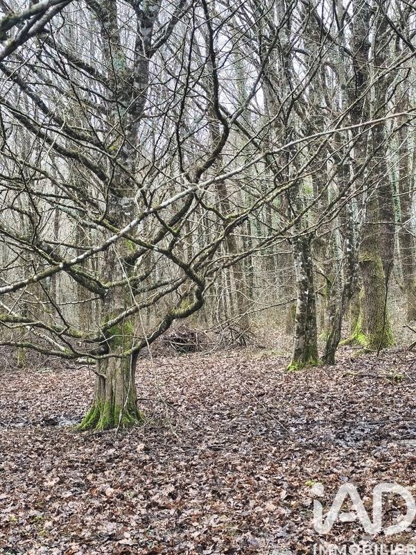 Terrain - 405 918 m²