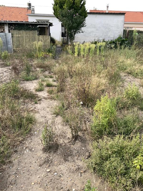 Maison - 50 m² - 2 pièces