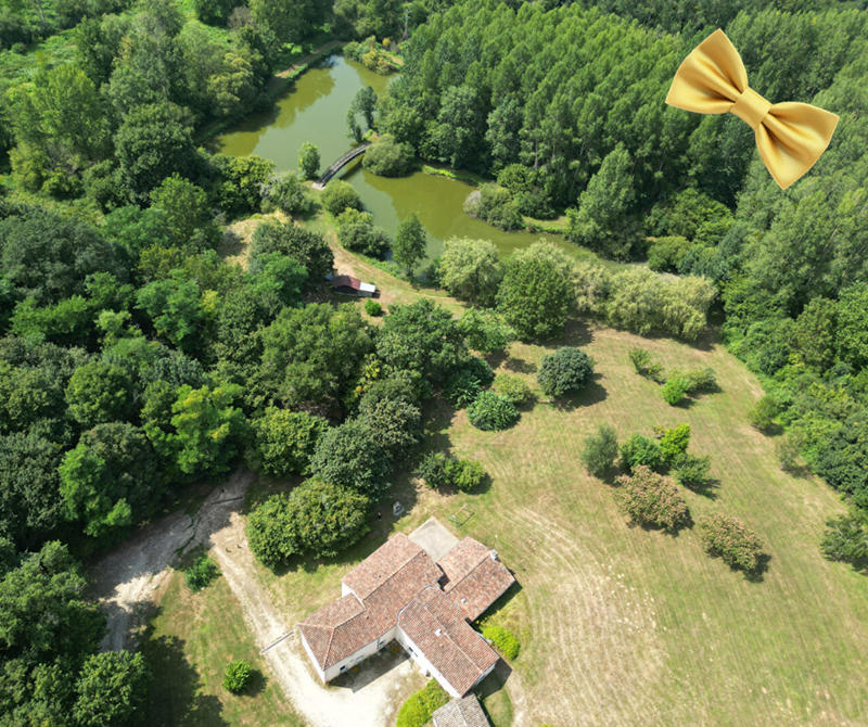 Maison - 322 m² - 11 pièces