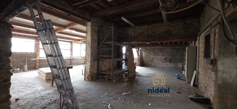 Local d'activités - 713 m²