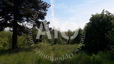 Maison - 100 m² - 3 pièces