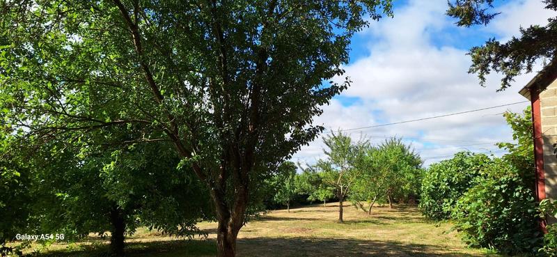 Maison - 153 m² - 7 pièces