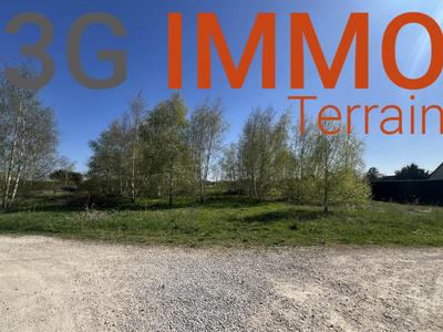 Terrain - 1 331 m²