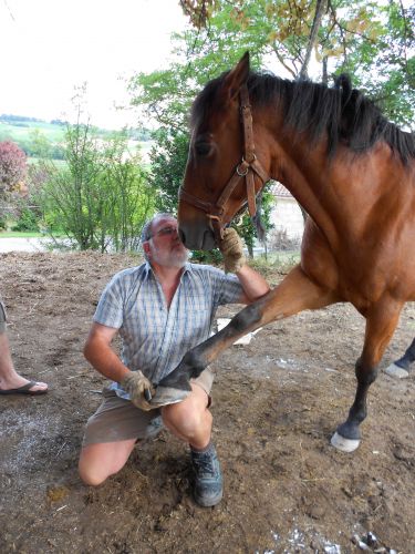 Gîte et Cuisine d Antan